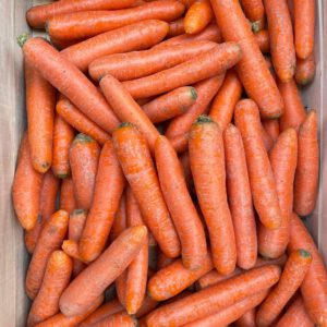 Karotten, 10 kg