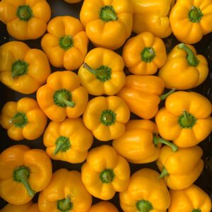 Paprika Orange 1 kg